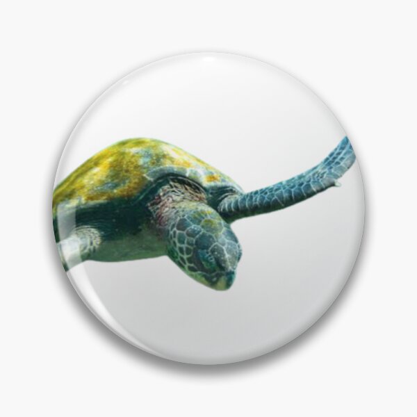 Artikelvorschau, Galapagos-Insel ?️ entworfen und verkauft von ProArt Club.