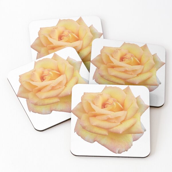 Item preview, Flower: Orange and Yellow Rose designed and sold by Cat-Clawz.