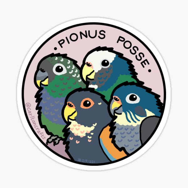 Aperçu de l'œuvre Pionus Posse créée et vendue par CarltonCrafts.