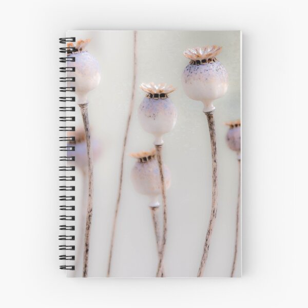 Item preview, Poppy seed heads designed and sold by Susan Purveur.