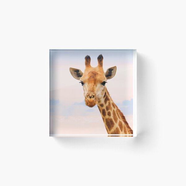 Item preview, ANIMALS #46 - Giraffe Looking Straight at You designed and sold by DEL-Productions.