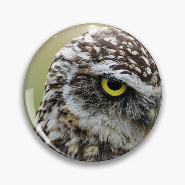 Item preview, Annoyed Owl designed and sold by rybacc.