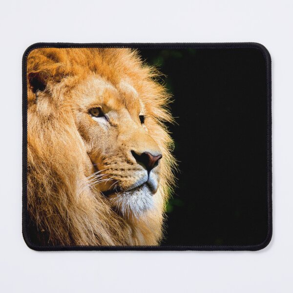Item preview, ANIMALS #50 - Majestic Male Lion designed and sold by DEL-Productions.