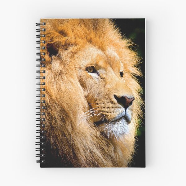 Item preview, ANIMALS #50 - Majestic Male Lion designed and sold by DEL-Productions.