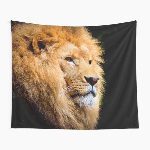 Item preview, ANIMALS #50 - Majestic Male Lion designed and sold by DEL-Productions.