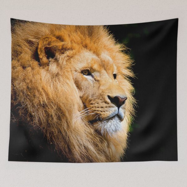 Item preview, ANIMALS #50 - Majestic Male Lion designed and sold by DEL-Productions.