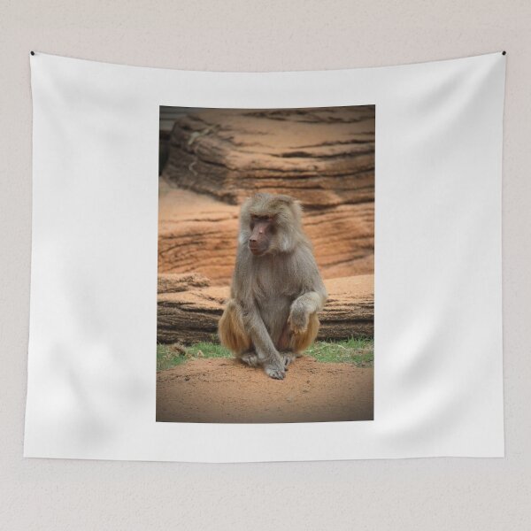 Item preview, Hamadryas Baboon designed and sold by Cynthia48.
