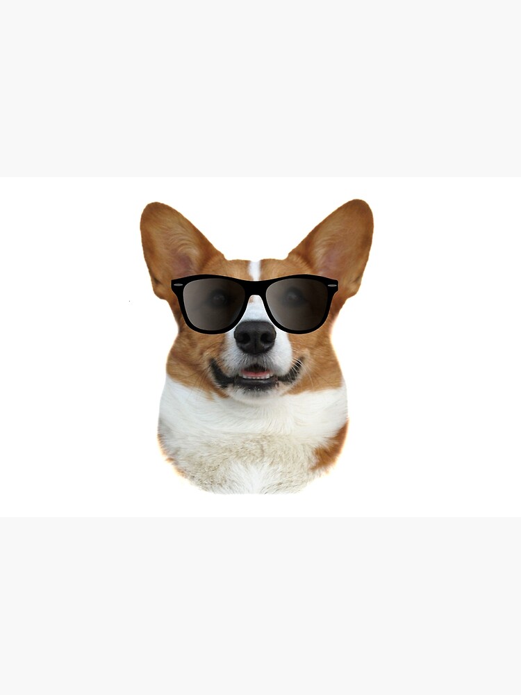 cool corgi