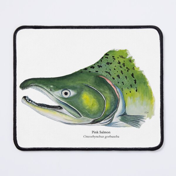Item preview, Pink Salmon Head Painting designed and sold by Stephen Emms.