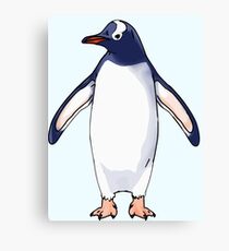 Gentoo Penguin Canvas Print