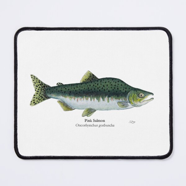 Item preview, Pink Salmon  designed and sold by Stephen Emms.
