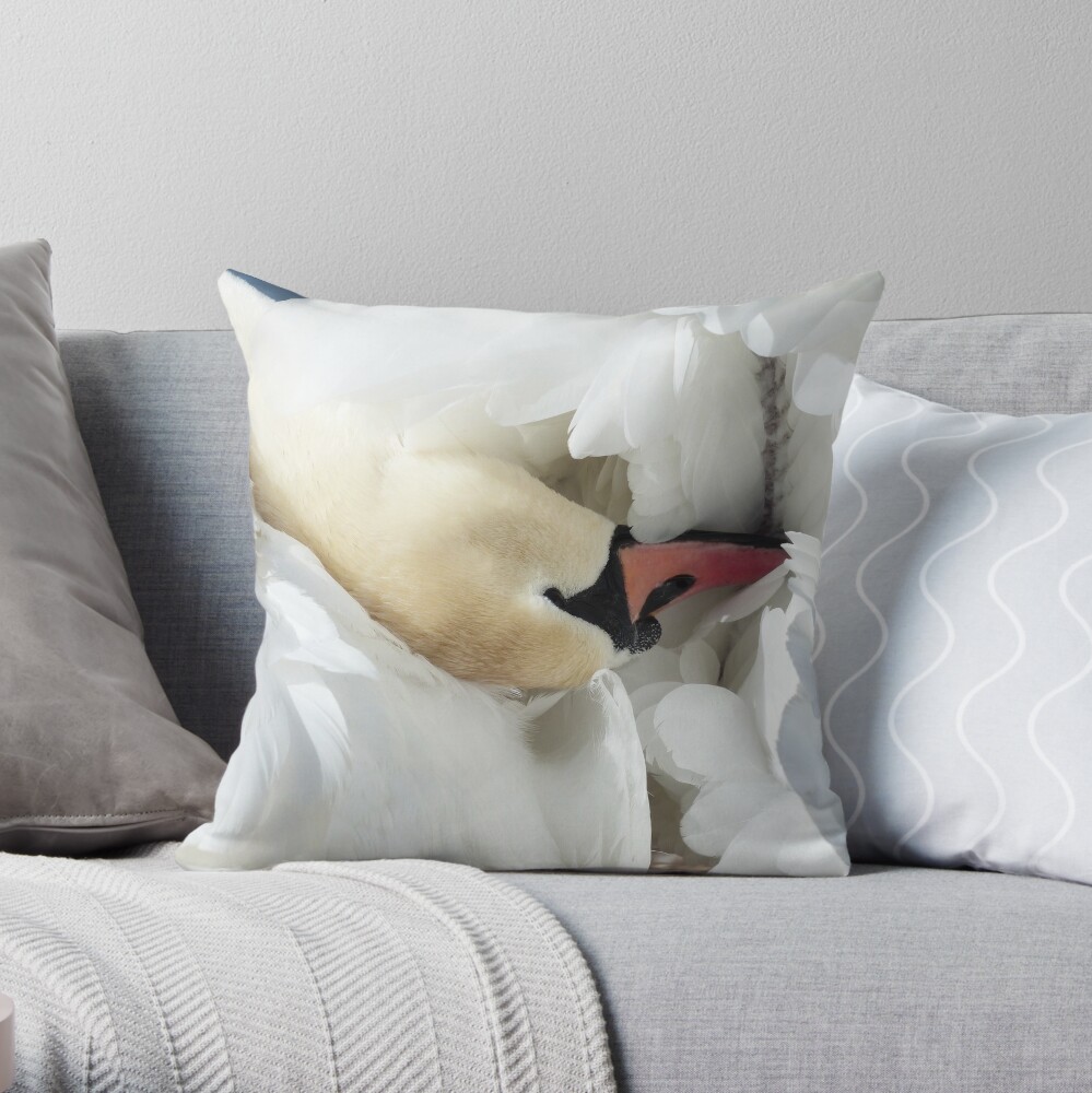 aesthetic pillows