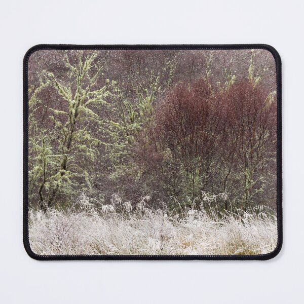 Item preview, Native Woodland Hoar Frost and Birches Scotland designed and sold by PhotosEcosse.
