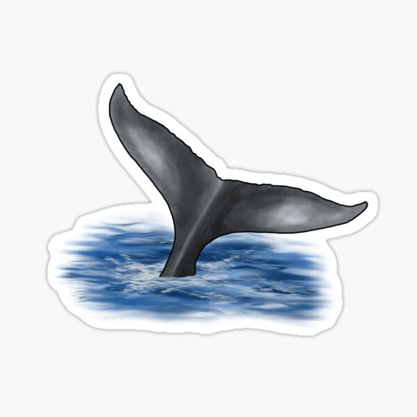 Item preview, Whale Watch, Boat, Whale Watching, Maine State, Family Vacation, Nature, Outdoor activities, Portland, Digital Stickers designed and sold by SHiNStudio.
