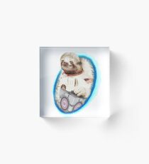 Sloth Portal Acrylic Block