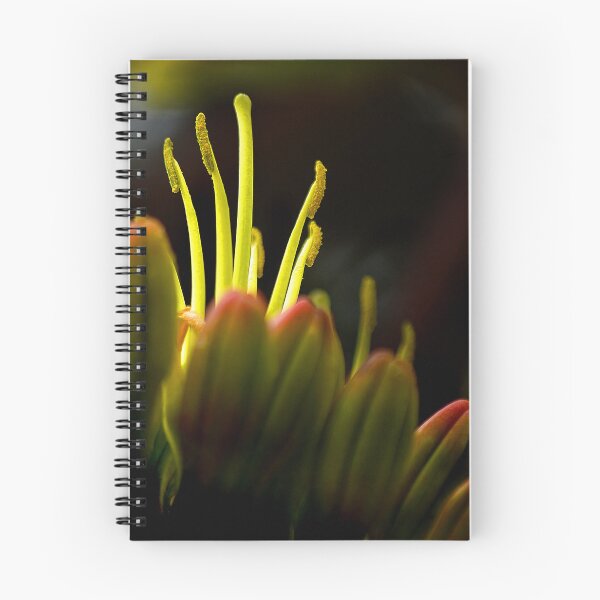 Item preview, Agave Dance designed and sold by Vicki Pelham.