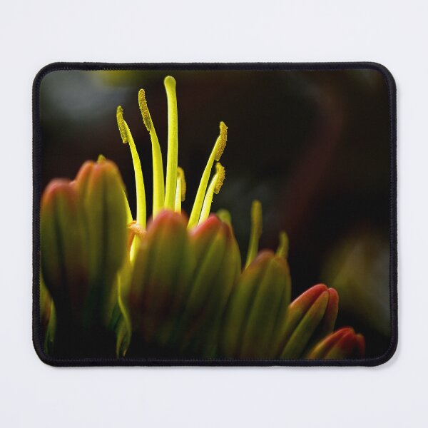 Item preview, Agave Dance designed and sold by Vicki Pelham.