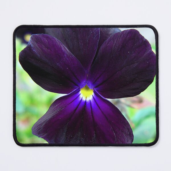 Item preview, Velvet beauty designed and sold by Sharon Perrett.