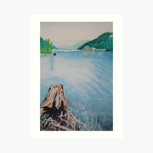 Oakridge Reservoir #4 Art Print