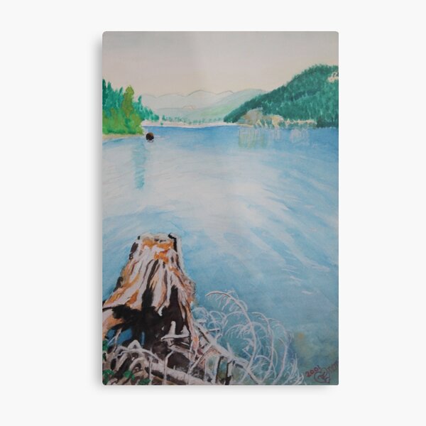 Oakridge Reservoir #4 Metal Print