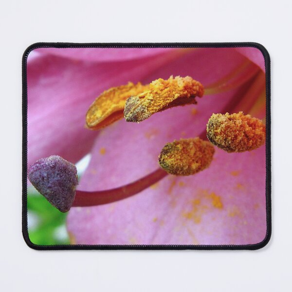 Item preview, Pollen designed and sold by Sharon Perrett.
