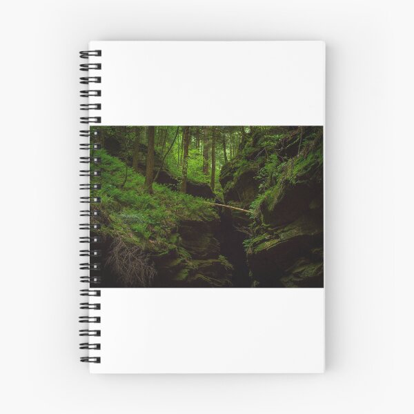 Item preview, Ferns and rocks in OH!? designed and sold by Jake Waller.