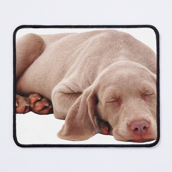 Item preview, Weimaraner Puppy Sleeping designed and sold by ScienceSource.