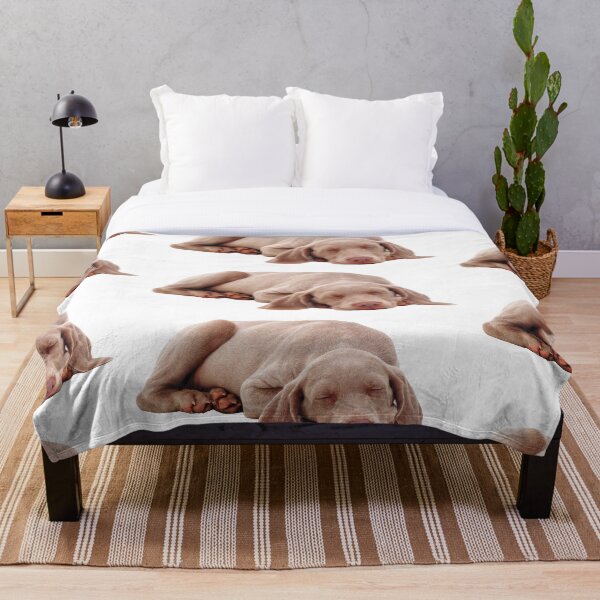 Item preview, Weimaraner Puppy Sleeping designed and sold by ScienceSource.