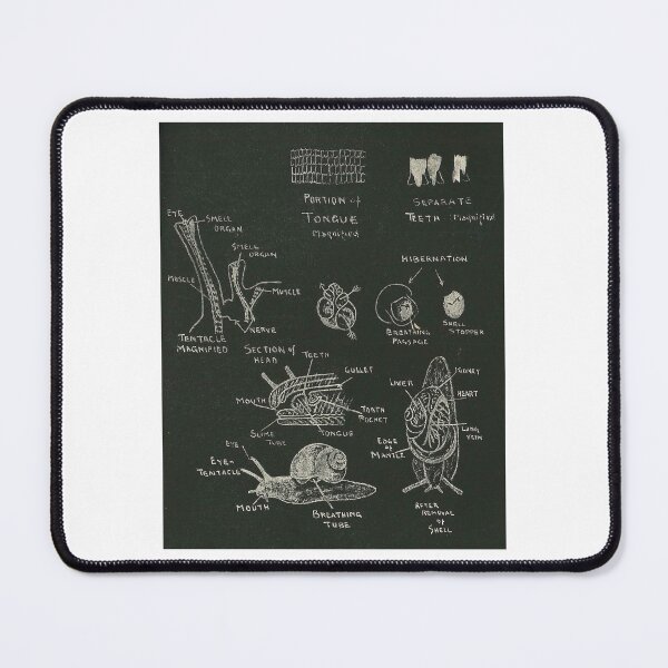 Item preview, Snail Diagram designed and sold by Lloyd Library & Museum.