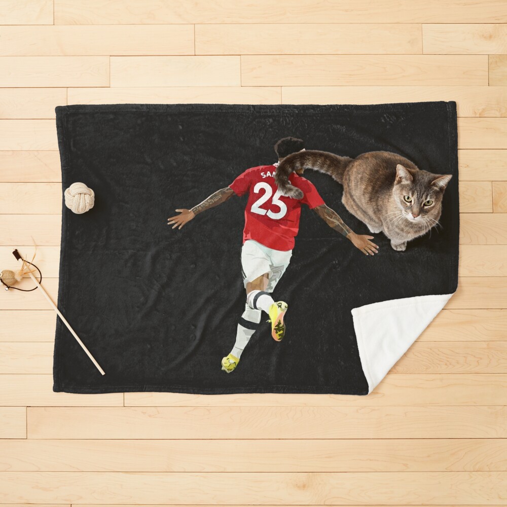 Cat, 49ers Pet Pullover Hoodie