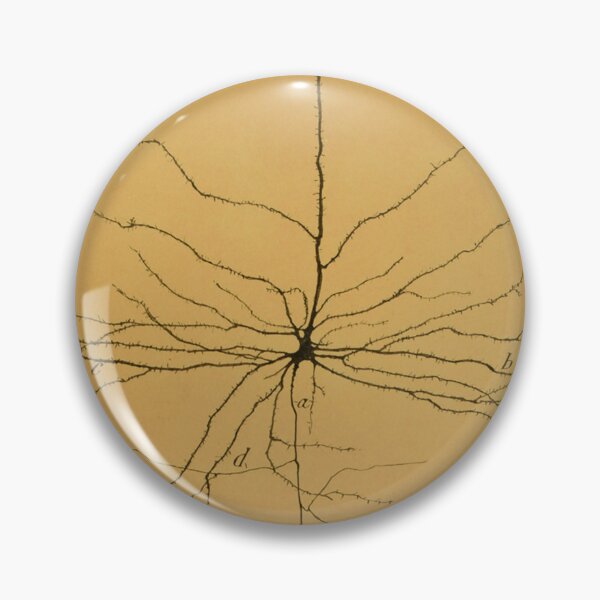Item preview, Pyramidal Cell in Cerebral Cortex, Cajal Illustration designed and sold by ScienceSource.