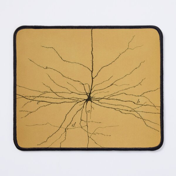 Item preview, Pyramidal Cell in Cerebral Cortex, Cajal Illustration designed and sold by ScienceSource.