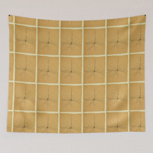 Item preview, Pyramidal Cell in Cerebral Cortex, Cajal Illustration designed and sold by ScienceSource.