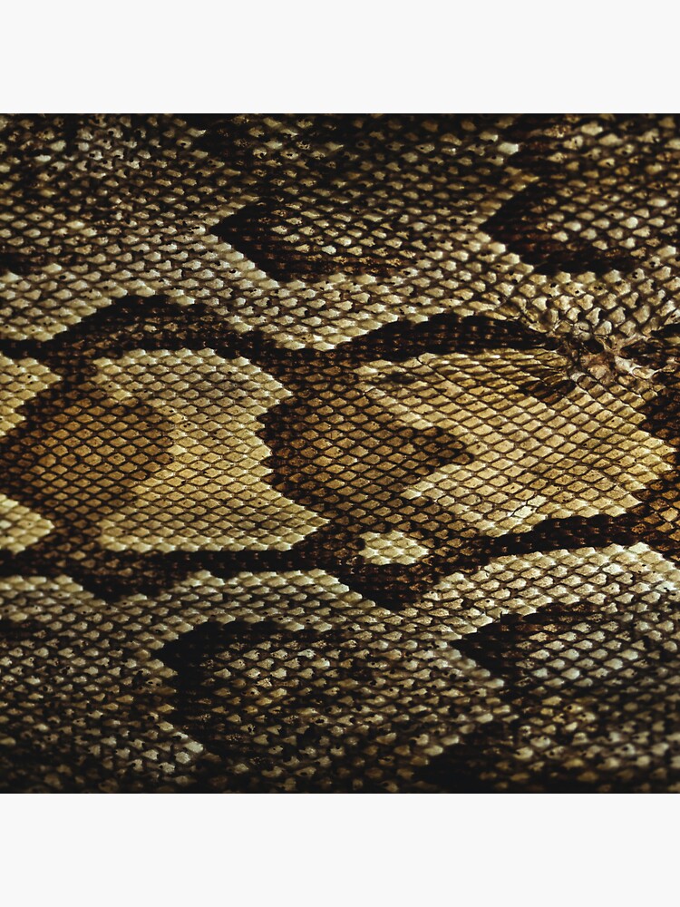 "Python Pattern - Animal Prints" Sticker for Sale by pirogaa92 | Redbubble