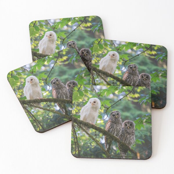 Item preview, Barred Owl Siblings designed and sold by mydeliciouslife.