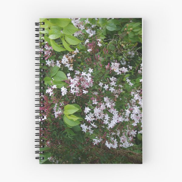 Item preview, Wild Jasmine (Jasminum officinale) designed and sold by lezvee.