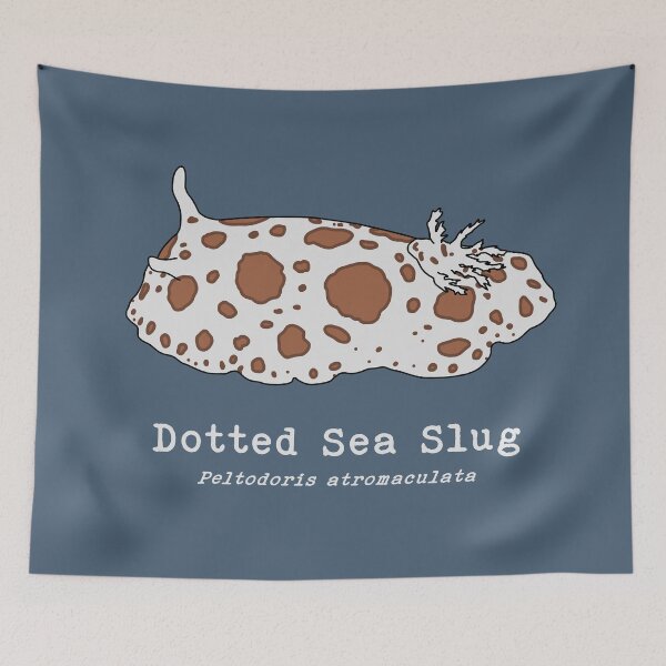 Item preview, Dotted Sea Slug with Scientific Name designed and sold by taylorrowan.