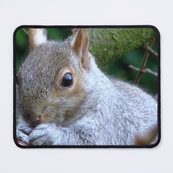 Item preview, Watching designed and sold by Sharon Perrett.