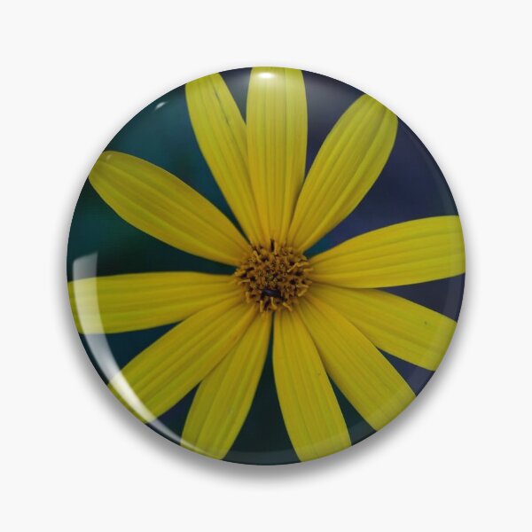Item preview, A few Rays designed and sold by Nick Velez.