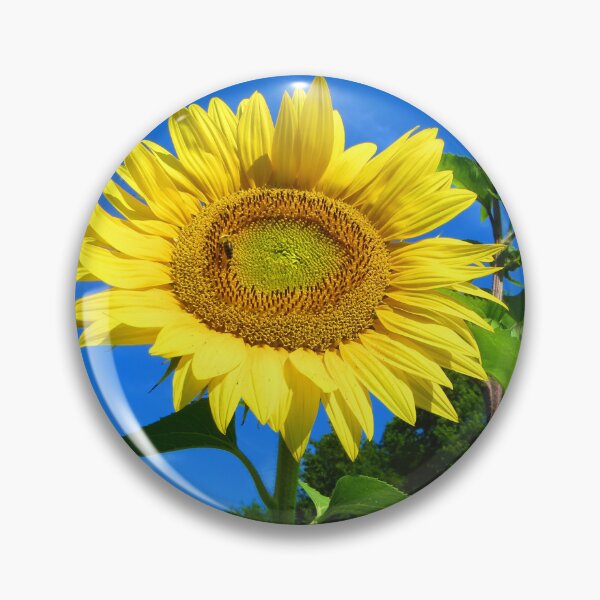 Item preview, Sunflower and Honeybee Photographic Print designed and sold by julyperson.