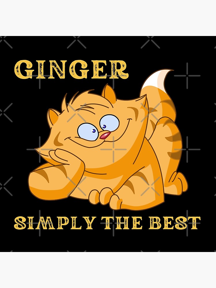 "Ginger..Simply the Best.. A Ginger tiger (or tomcat) smiling" Poster
