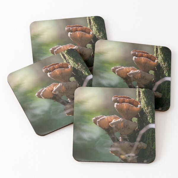 Item preview, Fantastic Fungi designed and sold by mydeliciouslife.