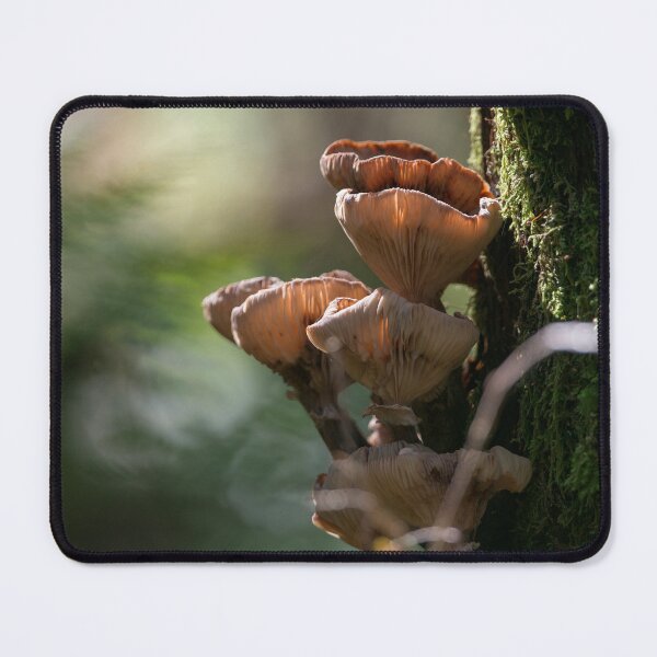 Item preview, Fantastic Fungi designed and sold by mydeliciouslife.