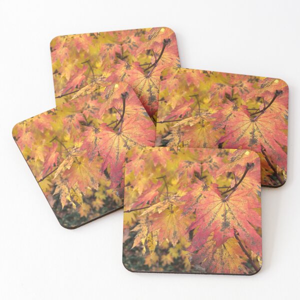 Item preview, Fall - the Season of Change designed and sold by Photomersion.