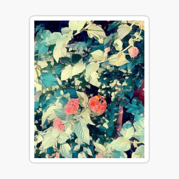 Lantana Sticker