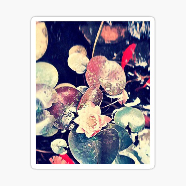 Water Lily Sticker