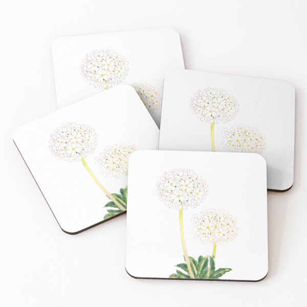 Item preview, hand painted white drumstick primrose  ink and watercolour  designed and sold by ColorandColor.