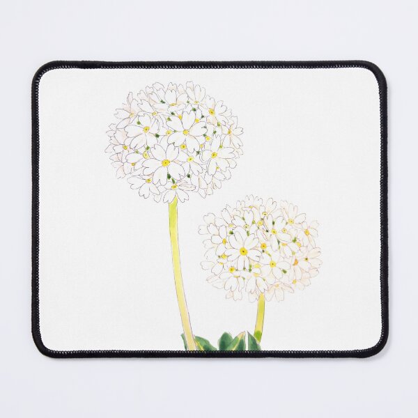 Item preview, hand painted white drumstick primrose  ink and watercolour  designed and sold by SelenePaintings .