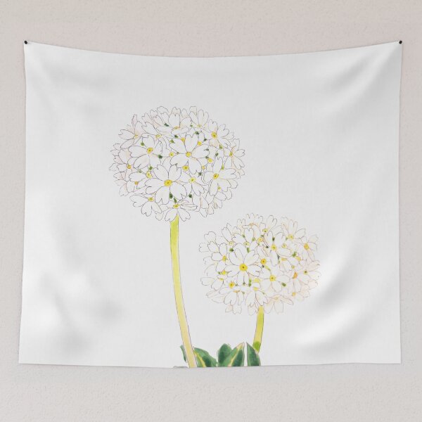 Item preview, hand painted white drumstick primrose  ink and watercolour  designed and sold by ColorandColor.