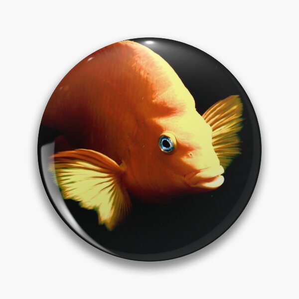 Item preview, Garibaldi designed and sold by Johnny Nienstedt.